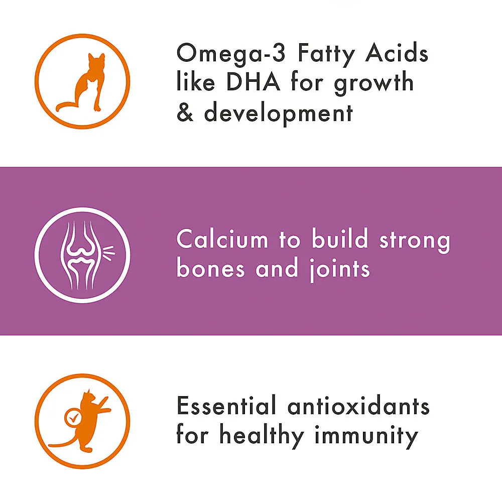 Shop Nutro Wholesome Essentials Kitten Dry Cat Food NonGmo, Natural