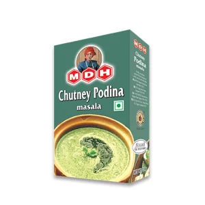 MDH Chutney Podina Masala 100g
