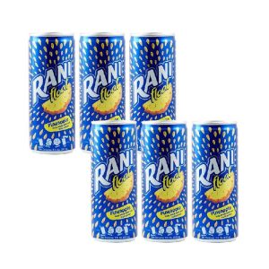Rani Float Pineapple 6x8 oz